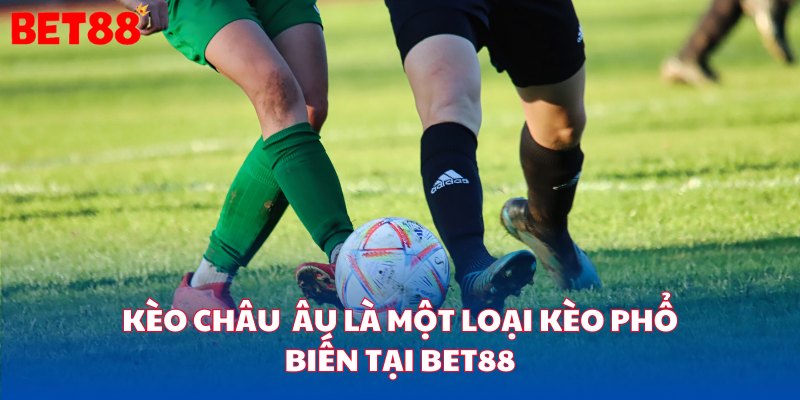 Kèo châu Âu là một loại kèo khá phổ biến tại kèo nhà cái bet88