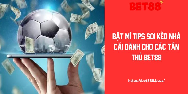 Bật Mí Cách Soi Kèo Nhà Cái Dành Cho Các Tân Thủ Bet88