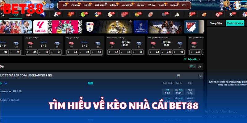 Tìm hiểu về kèo nhà cái bet88