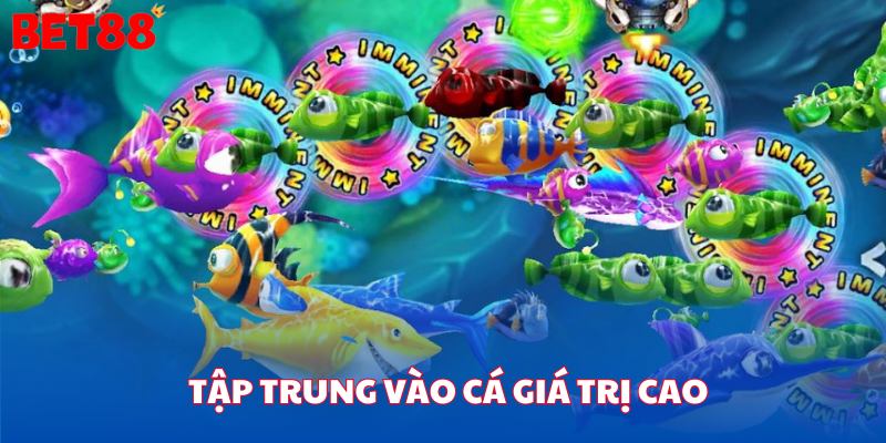 Tập trung lựa chọn cá mục tiêu có giá trị cao